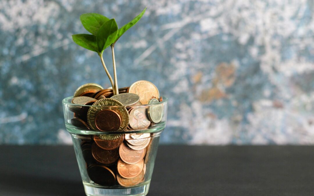Car Haulers: Top 4 Tips to Saving Money