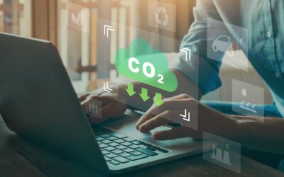 How Using a Transport Management System Can Help Reduce Your Carbon Footprint