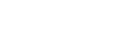 Auto Lenders